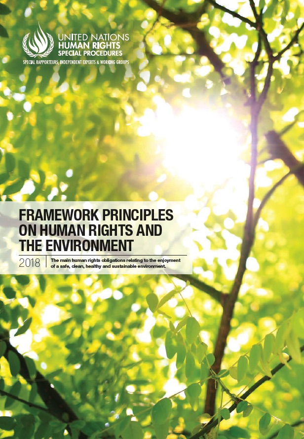 framework principles on human rights and the environment