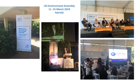 Consulation regarding Escazu Agreement - Special Rapporteur Environments and Human Rights